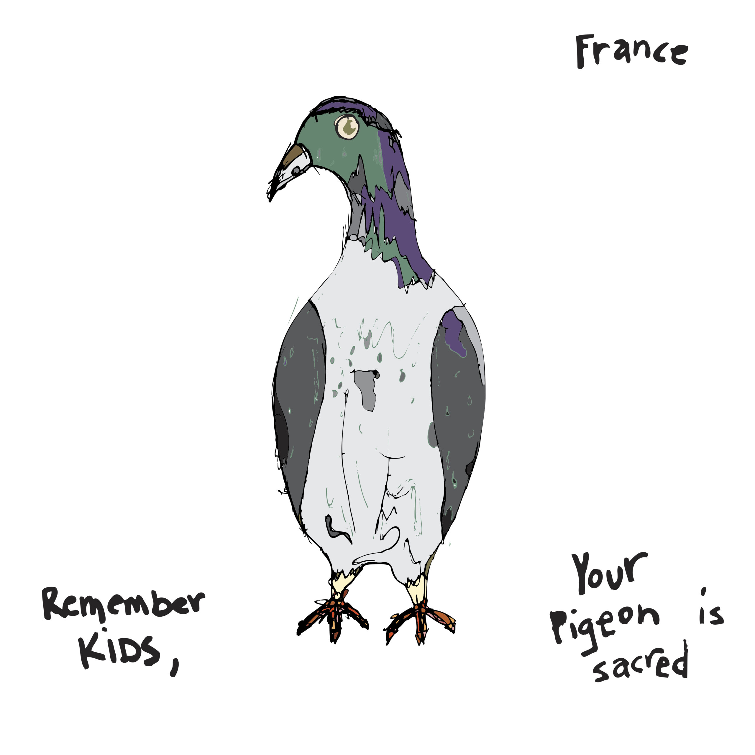 Review: France – “Remember Kids, Your Pigeon Is Sacred”